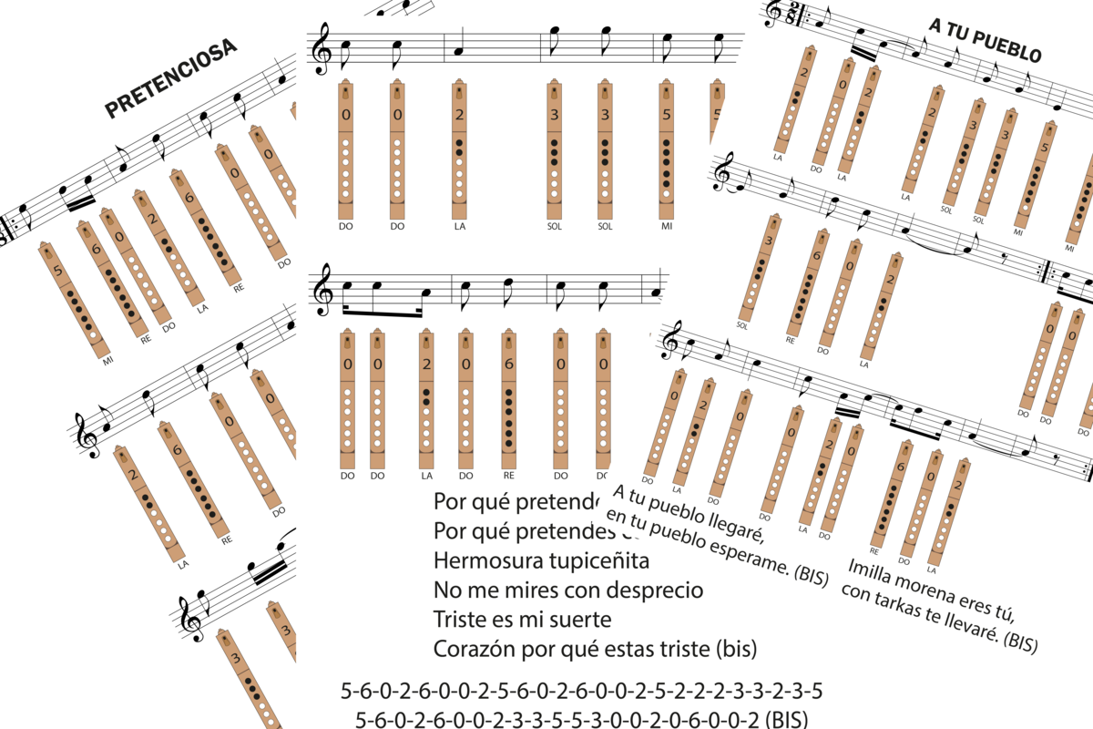 Notas de karka pretenciosa