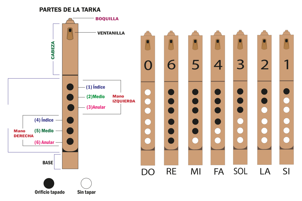 notas musicales en tarka
