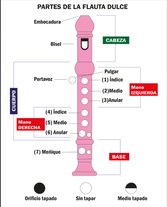 PARTES DE LA FLAUTA DULCE